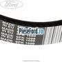 Curea transmisie fara AC Ford Fusion 1.3 60 cp BAJA benzina