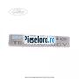 Emblema Econetic Technology hayon Ford Mondeo 2014-2018 2.5 149 cp S7CB benzina