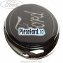 Emblema fata, capota motor Ford Transit 2000-2006 2.4 TDE 115 cp FXFA diesel