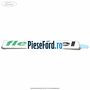Emblema Flexifuel Ford Focus 2011-2014 1.6 Ti 125 cp PNDA, PNDD benzina | Foto 2