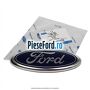 Emblema Ford fata Ford Transit 2006-2014 2.2 TDCi 110 cp QVFA diesel | Foto 3