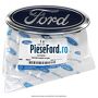 Emblema Ford grila radiator Ford Fiesta 2002-2005 1.4 TDCi 68 cp F6JA, F6JB diesel | Foto 3