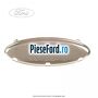Emblema Ford grila radiator Ford Fusion 1.6 100 cp FYJA, FYJB, FYJC benzina | Foto 2