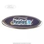 Emblema Ford grila radiator, hayon 3/5 usi Ford Focus 2008-2011 2.0 TDCi 110 cp IXDA diesel | Foto 5