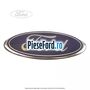 Emblema Ford grila radiator, hayon 3/5 usi Ford Grand C-Max 2011-2015 2.0 TDCi 136 cp UKDB diesel | Foto 5