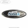 Emblema Ford hayon Ford Focus 2011-2014 1.6 TDCi ECOnetic 105 cp NGDA, NGDB diesel