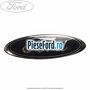 Emblema Ford hayon Ford Focus C-Max 2003-2007 2.0 145 cp AODA, AODB, AODE, SYDA benzina | Foto 3