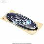 Emblema Ford hayon Ford Tourneo Connect 2013-2018 1.0 EcoBoost 100 cp B3GA, M2GA, M2GB benzina | Foto 5