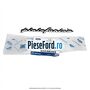 Emblema Pinifarina Ford Focus 2008-2011 1.6 Ti 115 cp HXDA, HXDB, SIDA benzina | Foto 3