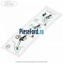 Eticheta informare mod alimentare combustibil Ford Fiesta 2008-2012 1.4 97 cp RTJA, RTJB, SPJA, SPJC, SPJE benzina