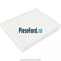 Filtru polen fara carbon activ Ford Fiesta 2005-2008 1.4 TDCi 68 cp N4JB diesel