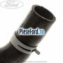 Furtun radiator apa inferior, dreapta Ford Fiesta 1996-2001 1.25 i 16V 75 cp DHA, DHB, DHC, DHD, DHE, DHF benzina | Foto 3