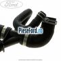 Furtun radiator apa inferior, dreapta Ford Transit 2006-2014 2.2 TDCi 130 cp QWFA diesel