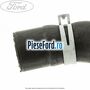 Furtun radiator apa inferior, dreapta model fara AC Ford Transit 2000-2006 2.0 DI 75 cp D3FA diesel