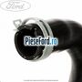 Furtun radiator inferior, dreapta Ford Focus 2004-2007 2.0 145 cp AODA, AODB, AODE, SYDA benzina