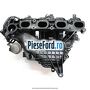 Galerie admisie Ford Fiesta 2005-2008 ST150 150 cp N4JB benzina