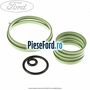 Garnitura oring galerie admisie Ford Ka 2009-2016 1.2 69 cp 169A4000, FP4 benzina