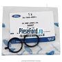 Garnitura supapa relanti Ford Fiesta 2002-2005 1.3 60 cp BAJA benzina