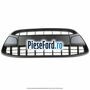 Grila bara fata, editie limitata Ford Fiesta 2008-2012 1.6 TDCi 90 cp HHJC, HHJD, HHJE diesel