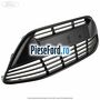 Grila bara fata fara proiectoare Ford Grand C-Max 2011-2015 1.0 EcoBoost 100 cp M2DA, M2DC benzina | Foto 3