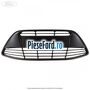 Grila bara fata fara proiectoare Ford Grand C-Max 2011-2015 2.0 TDCi 136 cp UKDB diesel