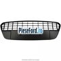Grila bara fata Ford C-Max 2007-2011 2.0 TDCi 110 cp IXDA diesel