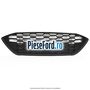 Grila bara fata Ford Focus 2019-2023 1.0 EcoBoost mHEV 125 cp B7DA Hybrid