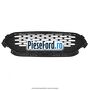 Grila bara fata Ford Kuga 2019-2023 1.5 EcoBlue 120 cp ZTDA diesel