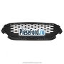 Grila bara fata Ford Kuga 2019-2023 2.5 FHEV 4x4 190 cp n/a hybrid