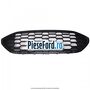 Grila bara fata Ford Puma 2020-2023 1.0 Flexifuel 125 cp B7JG Flexifuel