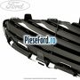 Grila bara fata mijloc cromata Ford Fiesta 2013-2017 1.25 82 cp SNJA, SNJB, SNJC, SNJD benzina