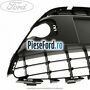 Grila bara fata, mijloc cu locas crom Ford Fiesta 2008-2012 1.4 TDCi 70 cp F6JD, KVJA diesel | Foto 2