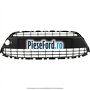 Grila bara fata, mijloc cu locas crom Ford Fiesta 2008-2012 1.6 TDCi 75 cp HHJF, UBJA diesel | Foto 3