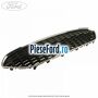 Grila bara fata mijloc tip fagure EDGE Ford Fiesta 2013-2017 1.5 TDCi 75 cp UGJC, XUJA, XUJB diesel