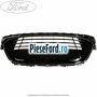 Grila bara fata negru lucios an 03/2010-04/2015 Ford S-Max 2007-2014 2.0 TDCi 163 cp TXWA diesel