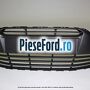 Grila bara fata negru mat Ford Grand C-Max 2011-2015 1.6 EcoBoost 182 cp JTDA, JTDB benzina | Foto 5