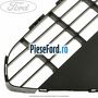 Grila centrala bara fata, cu locas cromat Ford Focus 2008-2011 1.4 80 cp ASDA, ASDB benzina