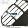 Grila centrala bara fata, cu locas cromat Ford Focus 2008-2011 1.6 TDCi 109 cp G8DA, G8DB, G8DD, G8DE, G8DF diesel