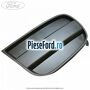 Grila locas proiector stanga Ford Ranger 2006-2012 3.0 TDCi 4x4 156 cp MD30DITC, WEC diesel