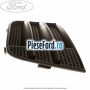 Grila proiector dreapta fara locas proiector an 06/2002-10/2005 Ford Fusion 1.4 80 cp FXJA, FXJB, FXJC benzina | Foto 2
