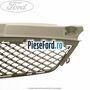 Grila radiator 06/2003-03/2007 Ford Mondeo 2000-2007 1.8 SCi 130 cp CFBA benzina