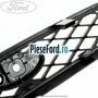Grila radiator (10/2001-10/2004) Ford Focus 1998-2004 1.8 DI/TDDi 75 cp BHDA, BHDB diesel