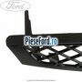 Grila radiator (10/2001-10/2004) Ford Focus 1998-2004 1.8 TDCi 100 cp FFDA diesel