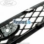 Grila radiator (10/2001-10/2004) Ford Focus 1998-2004 1.8 TDCi 100 cp FFDA diesel