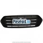 Grila radiator 3 elementi Ford Tourneo Custom 2019-2023 1.0 EcoBoost PHEV 125 cp M1FA Hybrid