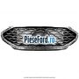 Grila radiator aluminiu satin Ford Edge 2019-2022 2.0 EcoBlue AWD 238 cp YLCA, YLCB diesel