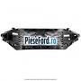 Grila radiator aluminiu satin Ford Edge 2019-2022 2.0 EcoBlue AWD 238 cp YLCA, YLCB diesel