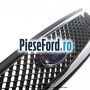 Grila radiator cromata Ford Focus 2004-2007 1.8 TDCi 115 cp KKDA diesel | Foto 2