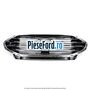 Grila radiator cromata model fara camera Ford Edge 2019-2022 2.0 EcoBlue AWD 238 cp YLCA, YLCB diesel