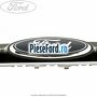 Grila radiator cu emblema Ford Ford C-Max 2011-2015 2.0 TDCi 140 cp UFDB diesel | Foto 2